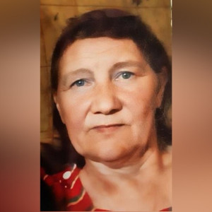 Жителей Владимирской области позвали на поиск заблудившейся в лесу пенсионерки с собакой 