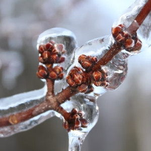 Владимирских водителей предупредили о ледяном дожде 
