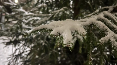 Первый снег во Владимирской области может пойти только в середине ноября