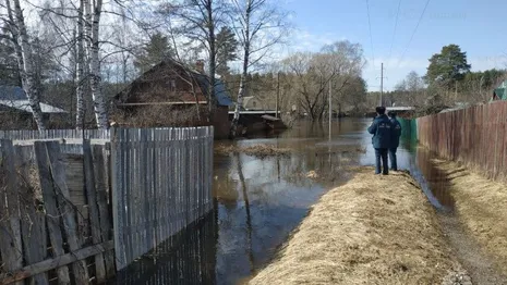 Во Владимирской области вода ушла из 34 приусадебных участков