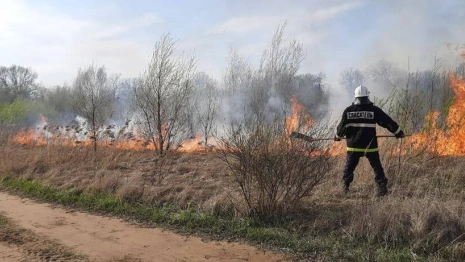 Очередной ландшафтный пожар вспыхнул в пойме Клязьмы под Владимиром