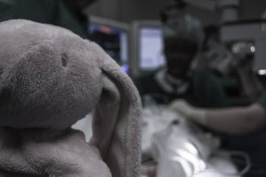 Смерть очередного ребенка в ОДКБ Владимира обернулась уголовным делом