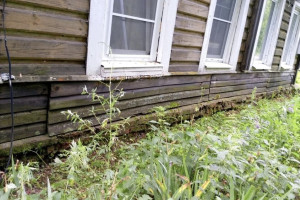 Жители местечка Лучки в Юрьев-Польском взвыли из-за постоянного затопления дома