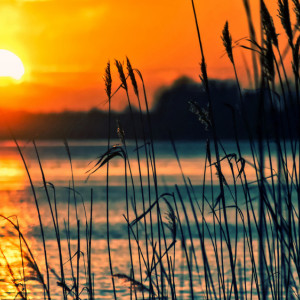 Отдых в запрещенных местах у воды во Владимире обернется штрафом