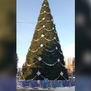 Во Владимире установили еще три ящика для писем Деду Морозу