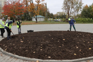 Во Владимире на зиму уберут все топиарные фигуры