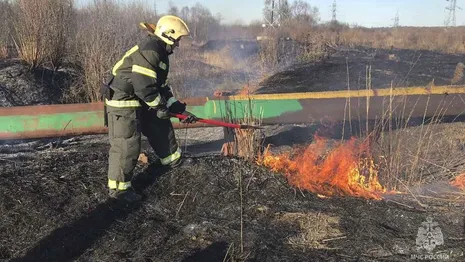 Во Владимире около завода металлоизделий загорелась трава