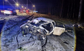 На М-7 в Петушинском районе иномарка влетела в опору ЛЭП