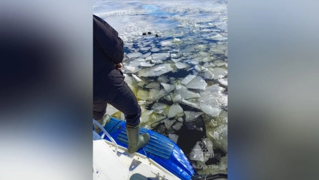 Появились фото с места гибели владимирских экс-чиновников на Волге под Нижним Новгородом