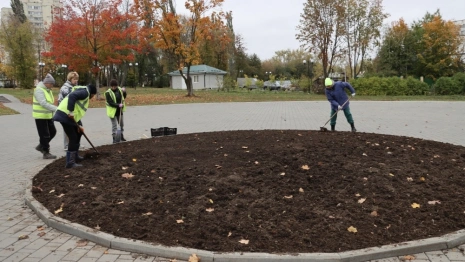 Во Владимире на зиму уберут все топиарные фигуры