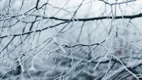 Прогноз погоды во Владимирской области на 16 декабря