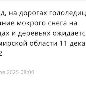 МЧС предупредило жителей Владимирской области о гололедице 11 декабря