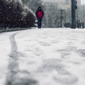 Прогноз погоды во Владимире и области на 21 ноября