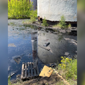 В озере из мазута в Муроме нашли трупы животных