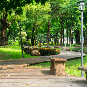 Появился список из 34 парков и скверов для благоустройства во Владимирской области