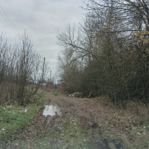 Жители Селивановского района пожаловались на бездорожье