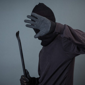 Во Владимирской области три подельника украли ядохимикаты почти на 4 млн рублей