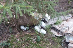 Во Владимирской области ликвидировали свалку ртутных ламп