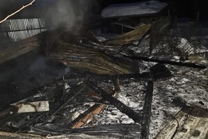 Во Владимирской области на пожаре погибла жившая с 9-ю собаками женщина