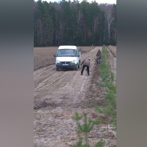 В истории о скандально известном кладбище в Соколе произошел новый поворот