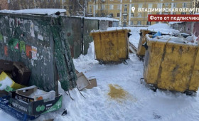 Общественники возмутились мусорным коллапсом в Коврове