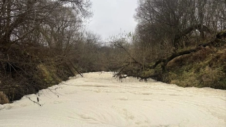 Ущерб от загрязнения реки Пекша в Петушинском районе составил 50 млн рублей