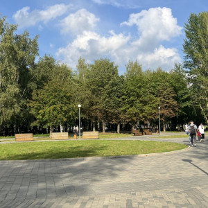 Доделывать парк «Добросельский» во Владимире будут зимой