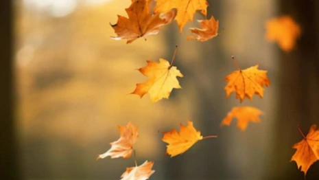 Прогноз погоды во Владимирской области на 16 сентября