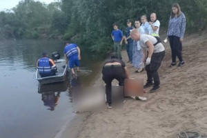 Семья из трех человек утонула в Клязьме в Петушинском районе