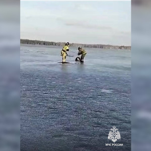 Владимирский рыбак едва не утонул в Рязанской области