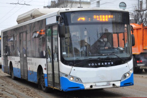 ФАС приостановила закупку автобусов для Владимира