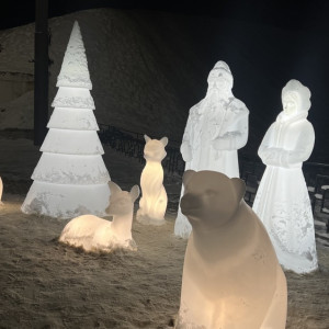 Мэрия Владимира пожаловалась на ломающих новогодние украшения вандалов