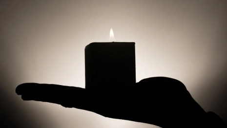 Во Владимирской области открыли стенды в память о погибших на Украине 11 бойцах