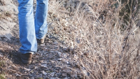 Во Владимирской области мобилизованный соскучился по дому и сбежал с учений