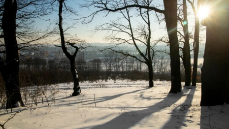 Прогноз погоды во Владимире и области на 28 февраля
