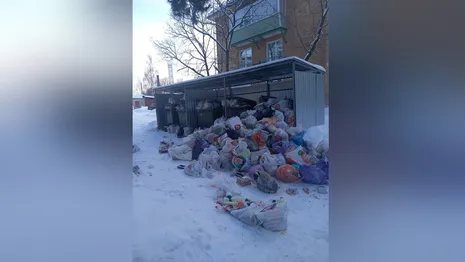 Поселок во Владимирской области утонул в мусоре