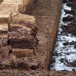 Во Владимирскую область завезли 2 тыс. тонн торфа из Беларуси