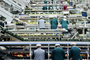 Во Владимире невыплата зарплаты 16 работникам торгового предприятия обернулась уголовным делом