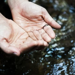 Во Владимирской области в роднике нашли бактерии