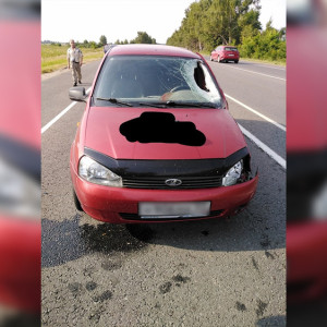 На трассе под Владимиром разбился 18-летний мотоциклист