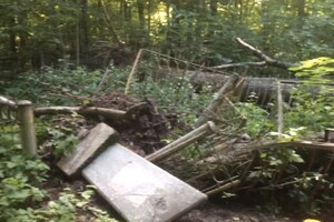 На Князь-Владимирском кладбище ураган «Эдгар» массово повалил деревья