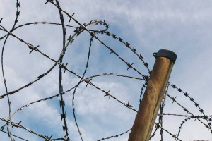 Жителя Вязников осудили на 3,5 года за секс с 13-летней девочкой