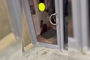 Во Владимире толпа подростков избила ребенка