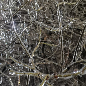 Владимирских энергетиков перевели в режим повышенной готовности