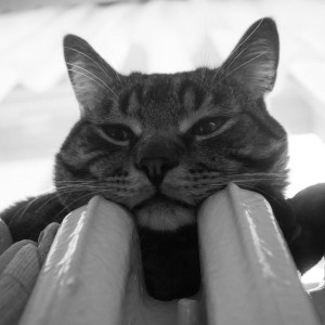 В Коврове замерзавшим в аномальные морозы жителям сделают перерасчет