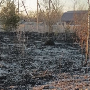 За сутки во Владимирской области сухая трава загорелась в 31 месте