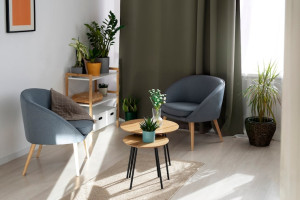 17 педагогов во Владимире получат деньги для аренды квартир