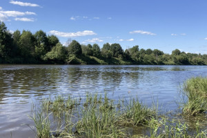 В Вязниках спасли тонущего 38-летнего мужчину