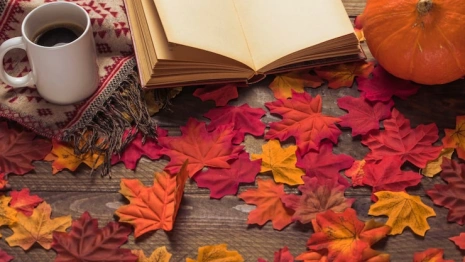 Прогноз погоды во Владимире и области на 12 октября 2025 года