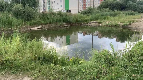 Спасатели показали, где в Собинке утонул 6-летний мальчик